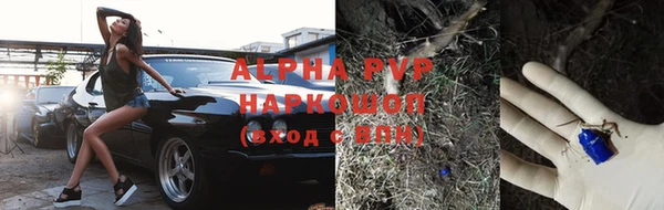 apvp Осташков