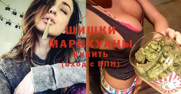 дживик Шали