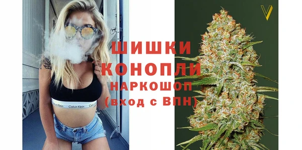 тгк Няндома
