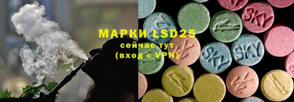 шишки Шадринск
