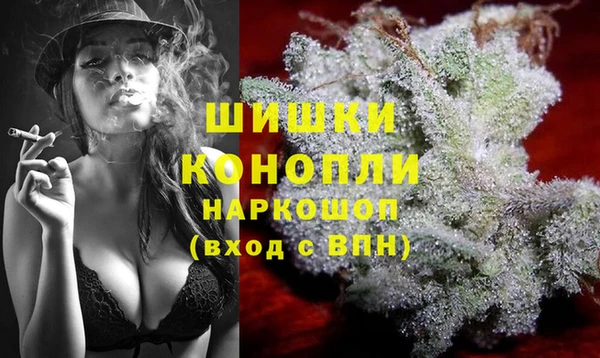 тгк Няндома